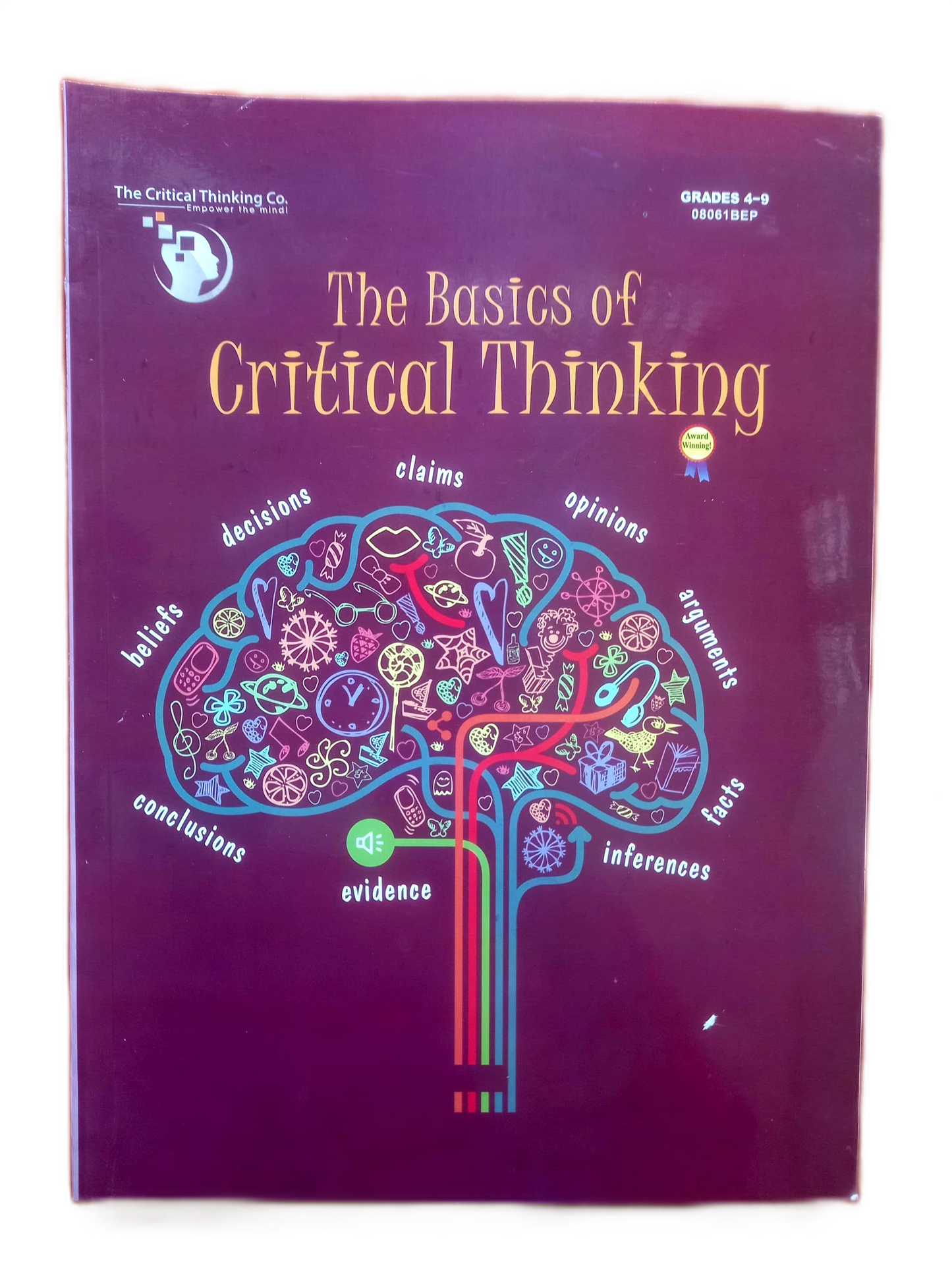 The Basics of Critical Thinking