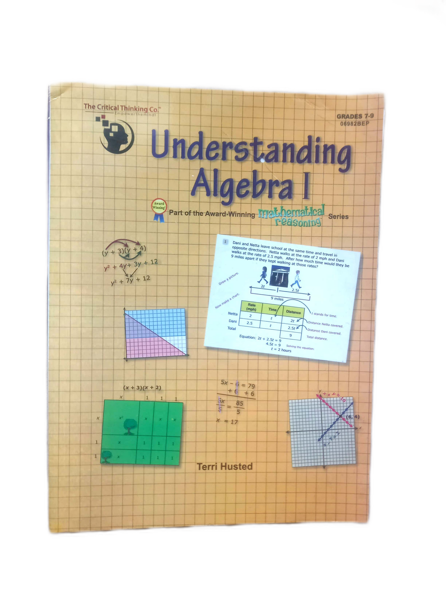 Understanding Algebra 1